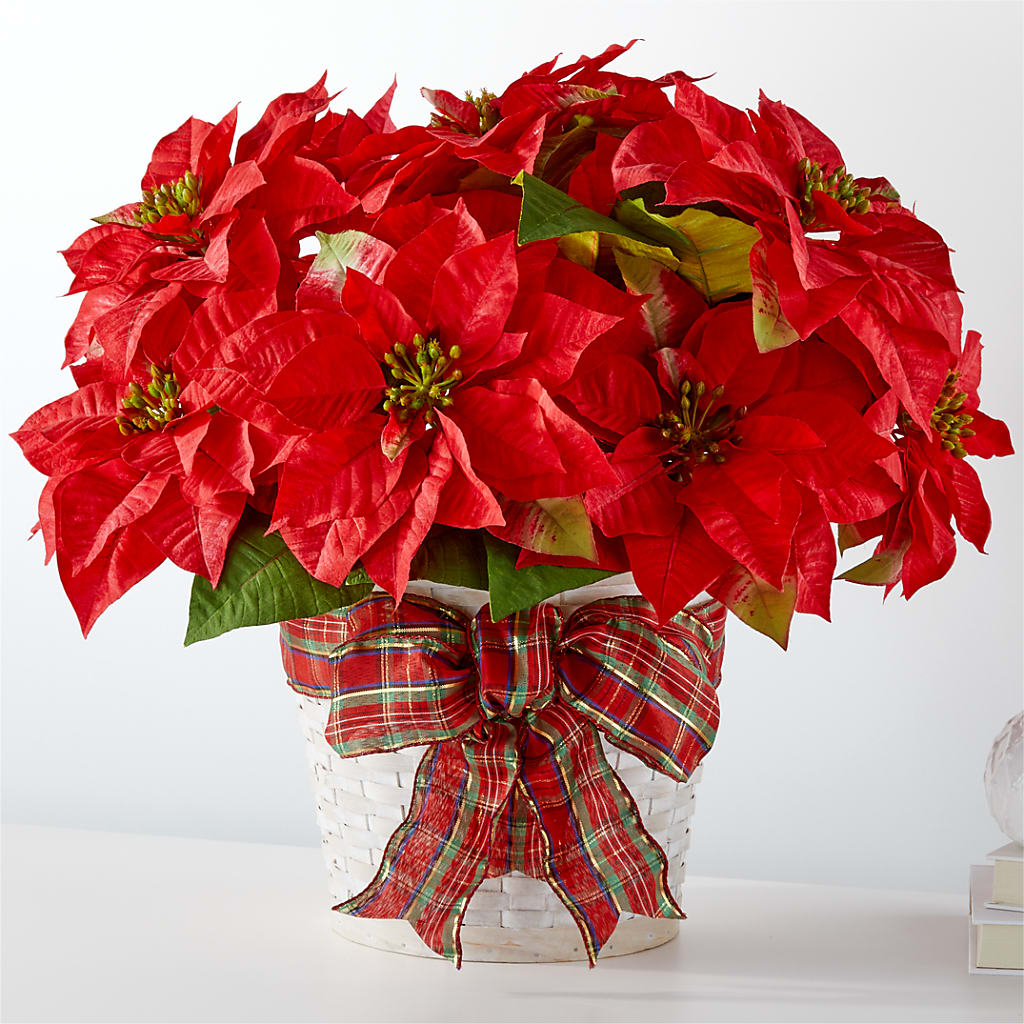 Happiest Holidays Poinsettia – Flowers By Helen, Forsyth GA