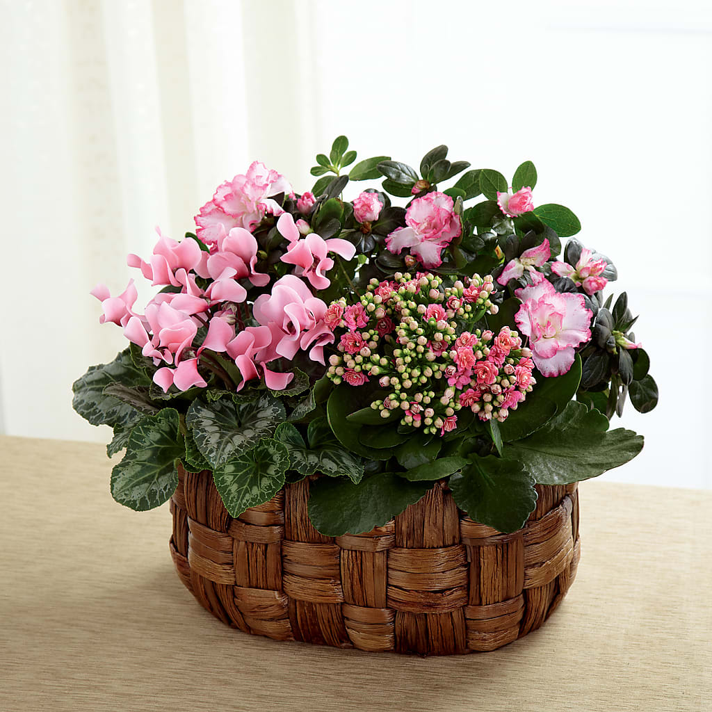 Pink Assortment – Flowers By Helen, Forsyth GA
