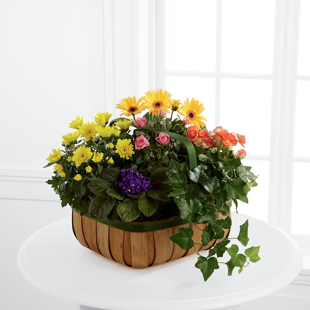 Gentle Blossoms Basket – Flowers By Helen, Forsyth GA