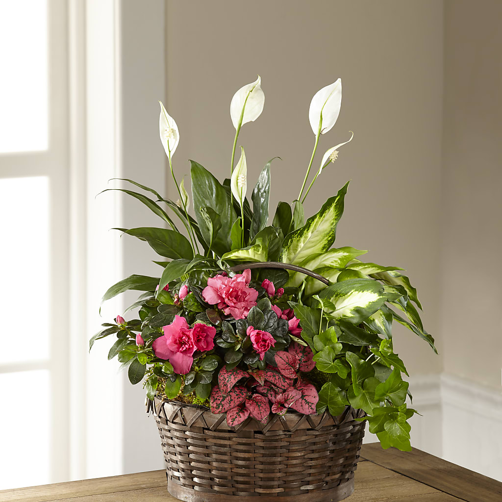 Dream in Pink Dishgarden – Flowers By Helen, Forsyth GA