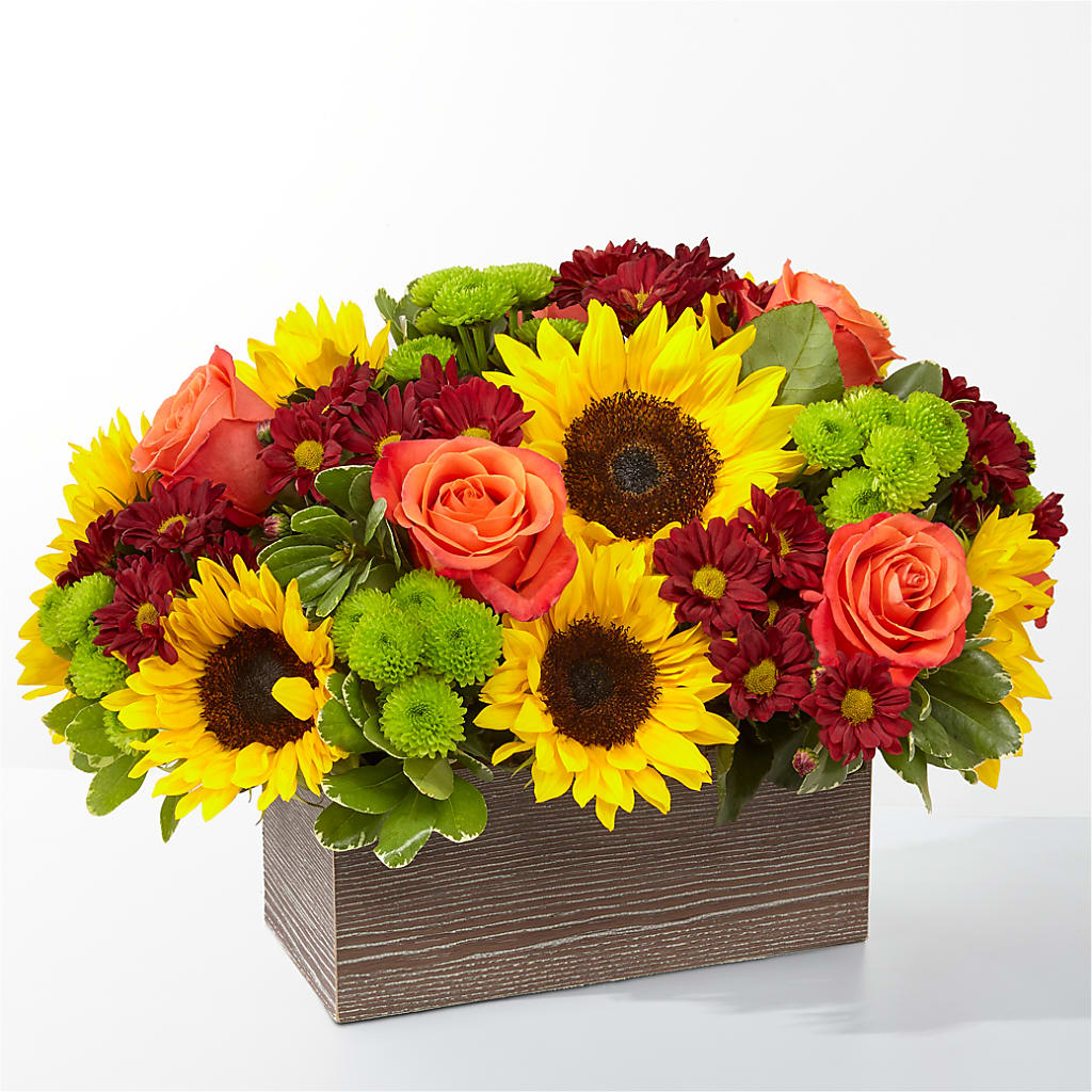 Happy Harvest Garden – Flowers By Helen, Forsyth GA