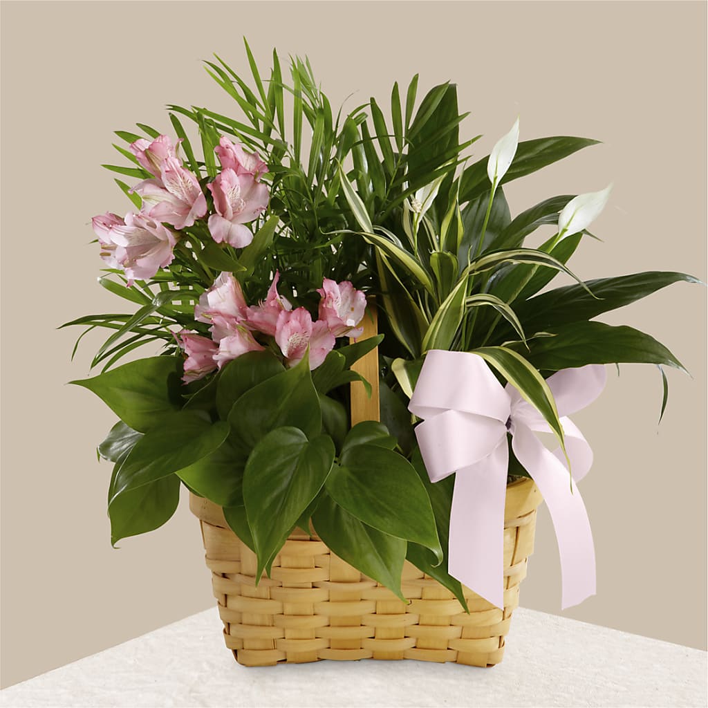 Living Spirit Dishgarden – Flowers By Helen, Forsyth GA