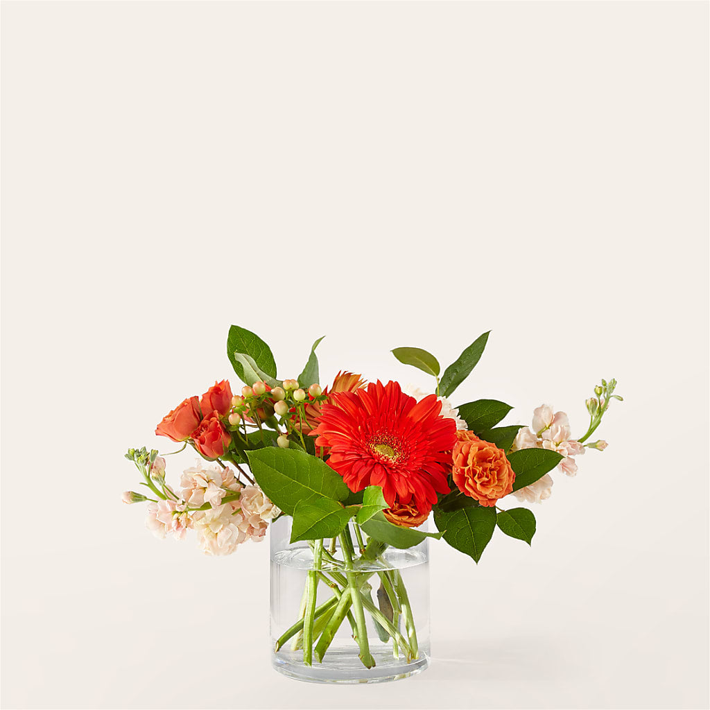 Paloma Please Bouquet – Flowers By Helen, Forsyth GA