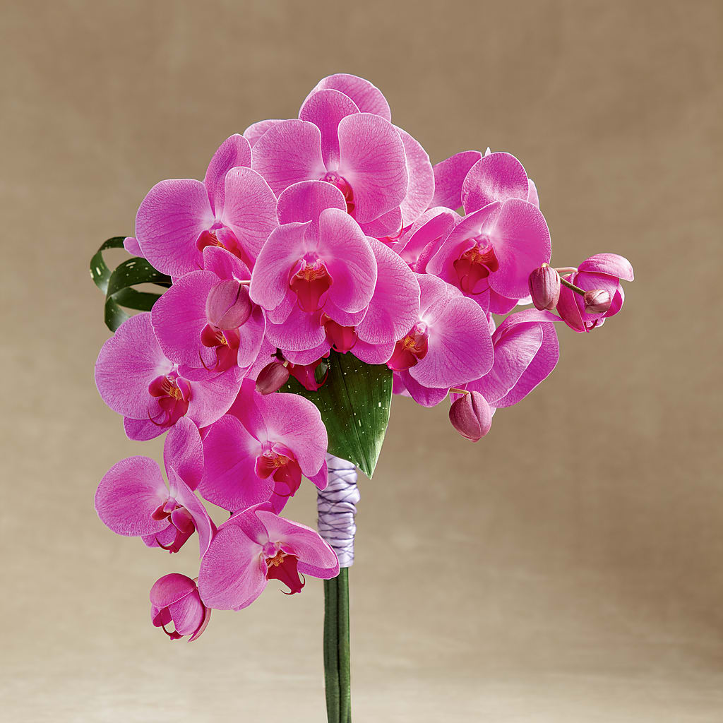 Glorious Bouquet – Flowers By Helen, Forsyth GA