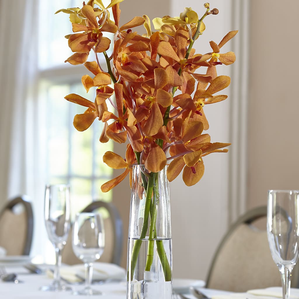 Orange Mokara Bud Vase – Flowers By Helen, Forsyth GA