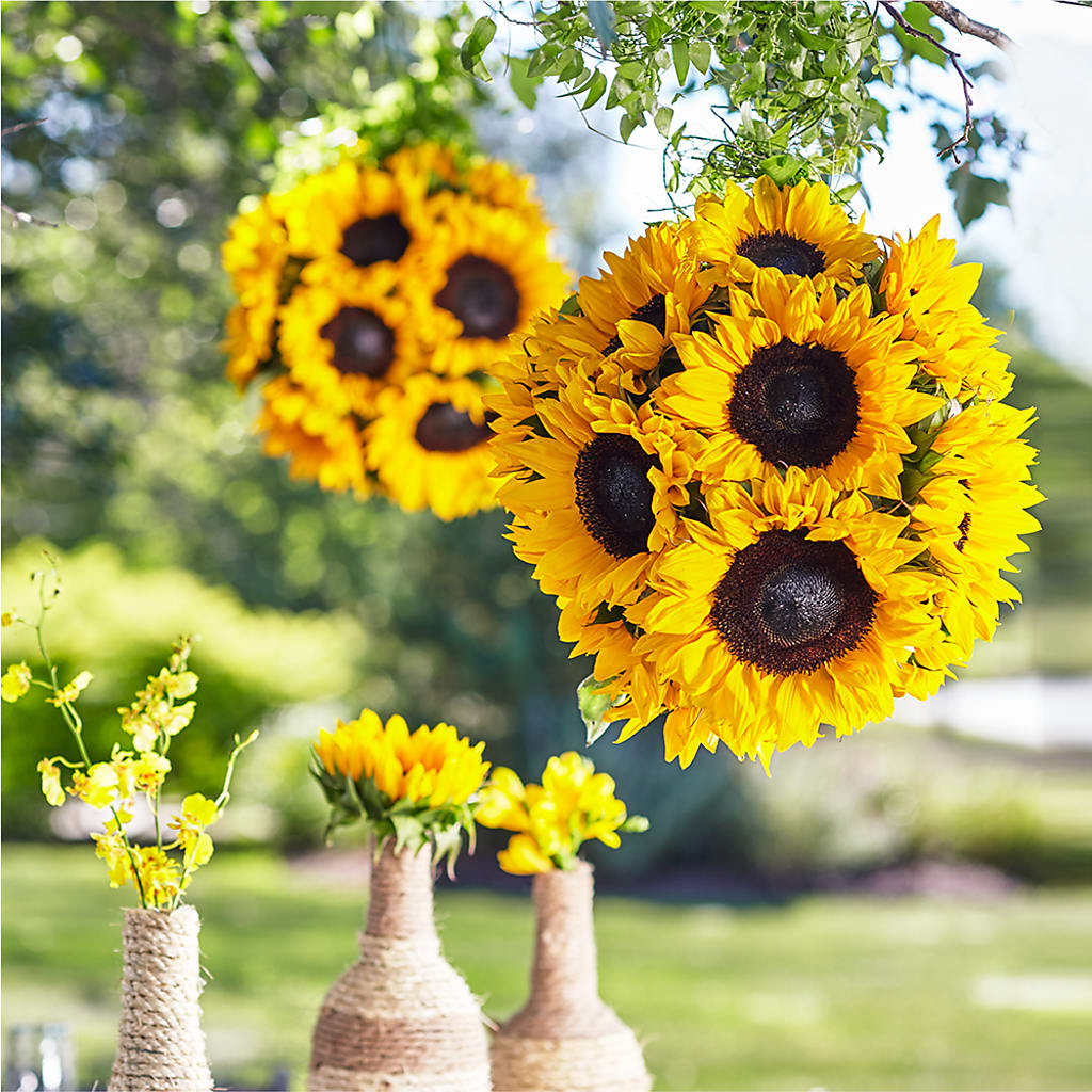 Sublime Garden Hanging Arrangement – Flowers By Helen, Forsyth GA