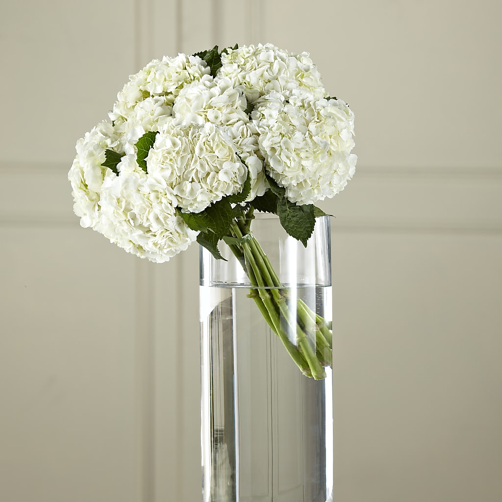 White Hydrangea Hand-Tied Bouquet – Flowers By Helen, Forsyth GA