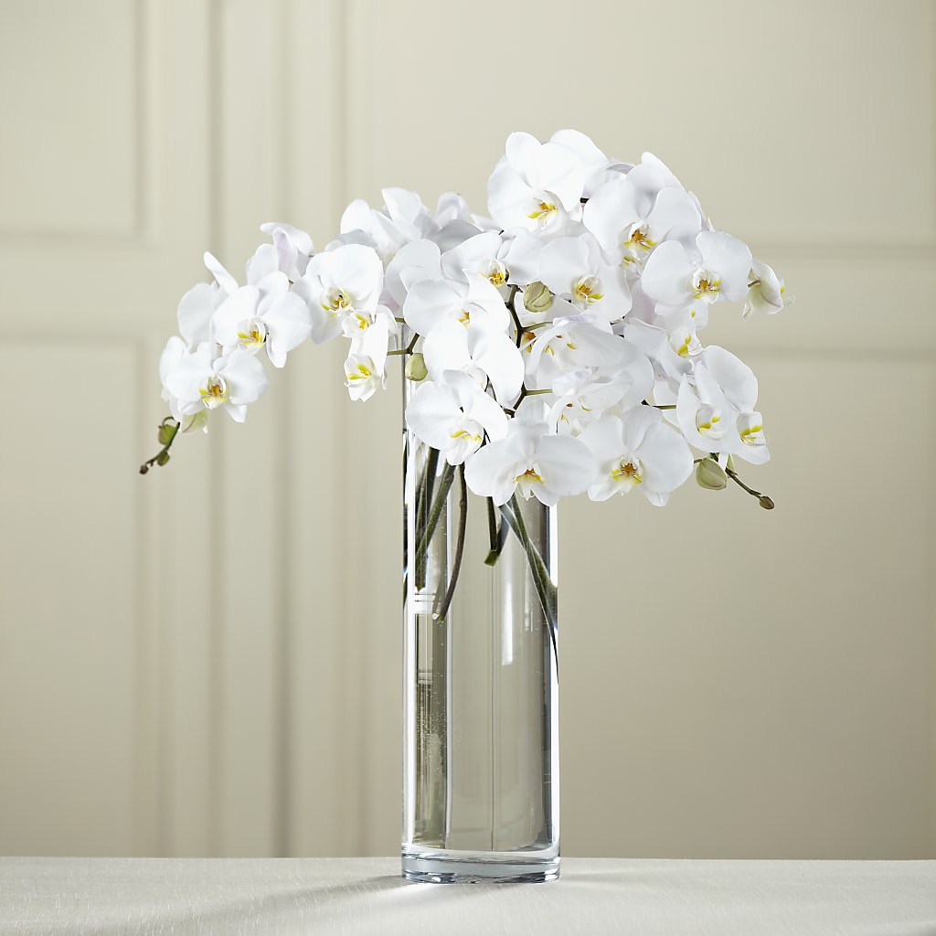 White Phalaenopsis Bouquet – Flowers By Helen, Forsyth GA