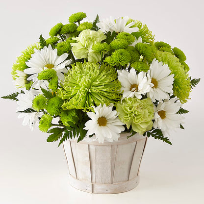 Lucky Charm Basket (Standard) –  Flowers By Helen, Forsyth GA