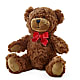 Adorable Plush Bear –  Flowers By Helen, Forsyth GA