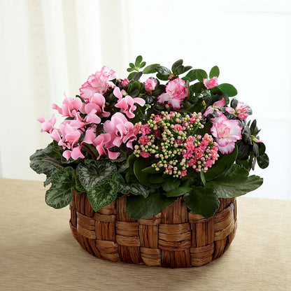 Pink Assortment –  Flowers By Helen, Forsyth GA