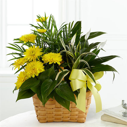 Loving Light Dishgarden –  Flowers By Helen, Forsyth GA