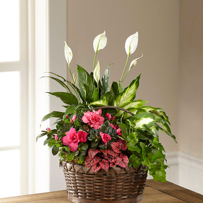 Dream in Pink Dishgarden –  Flowers By Helen, Forsyth GA