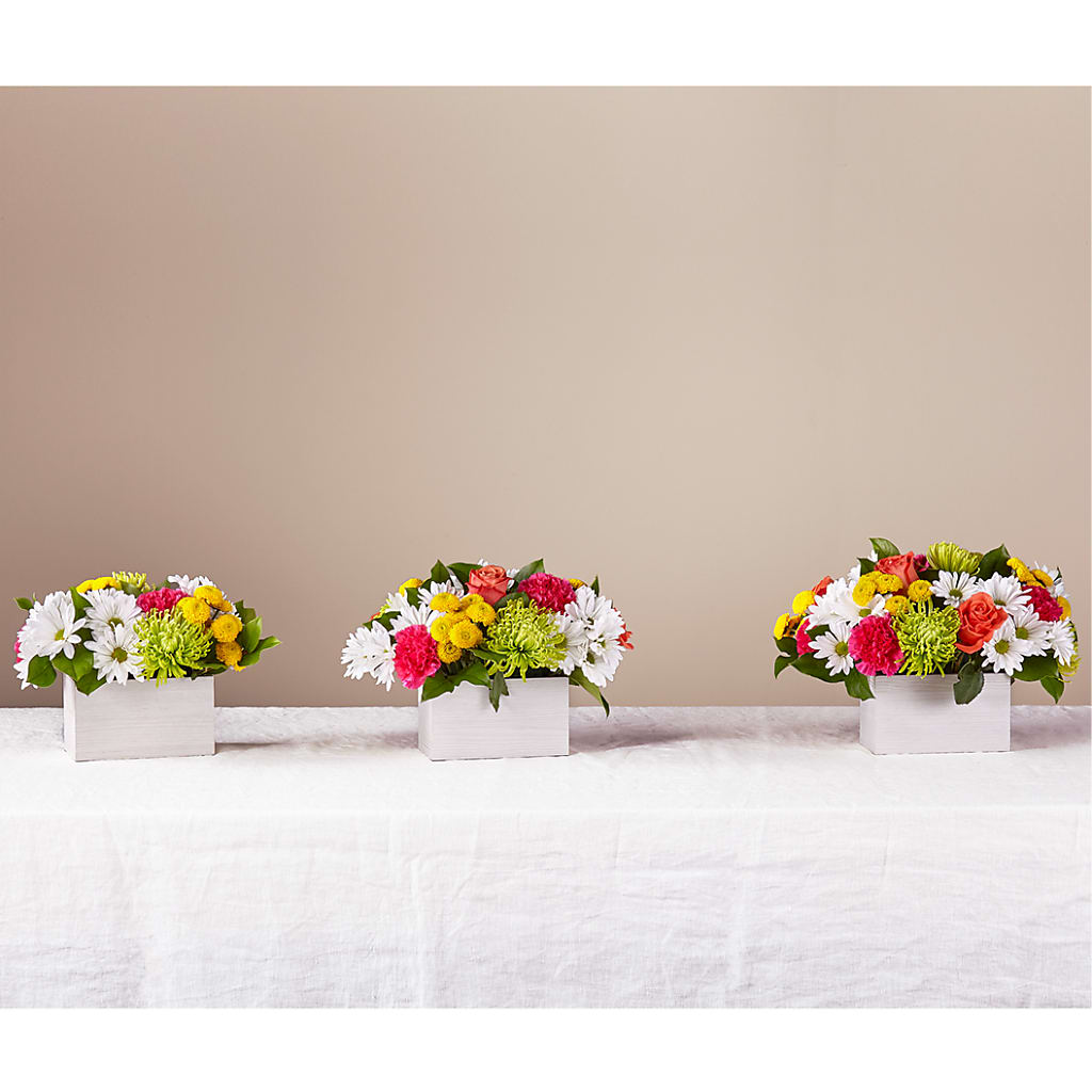 Sorbet Bouquet –  Flowers By Helen, Forsyth GA