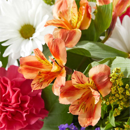 Oopsie Daisy Box Bouquet –  Flowers By Helen, Forsyth GA