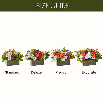 Oopsie Daisy Box Bouquet –  Flowers By Helen, Forsyth GA