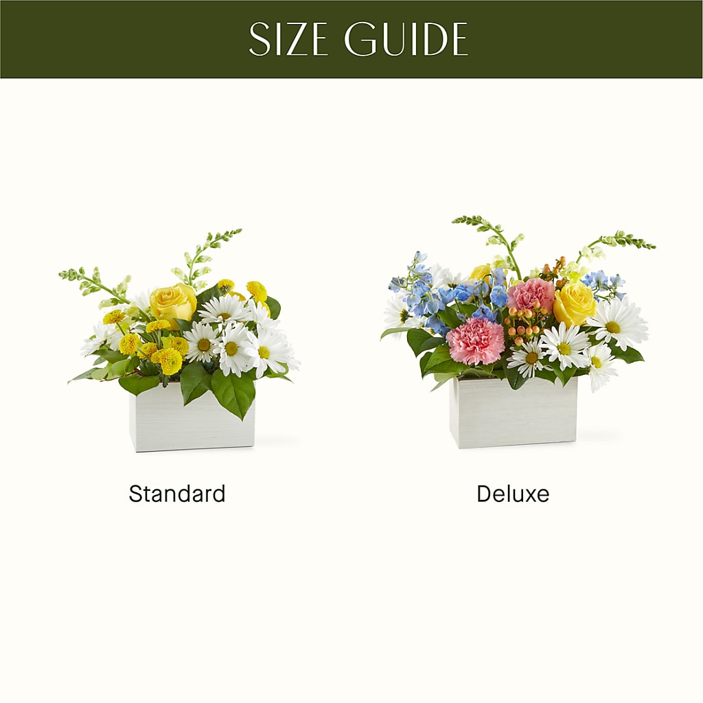 Sun Salutation Box Bouquet –  Flowers By Helen, Forsyth GA