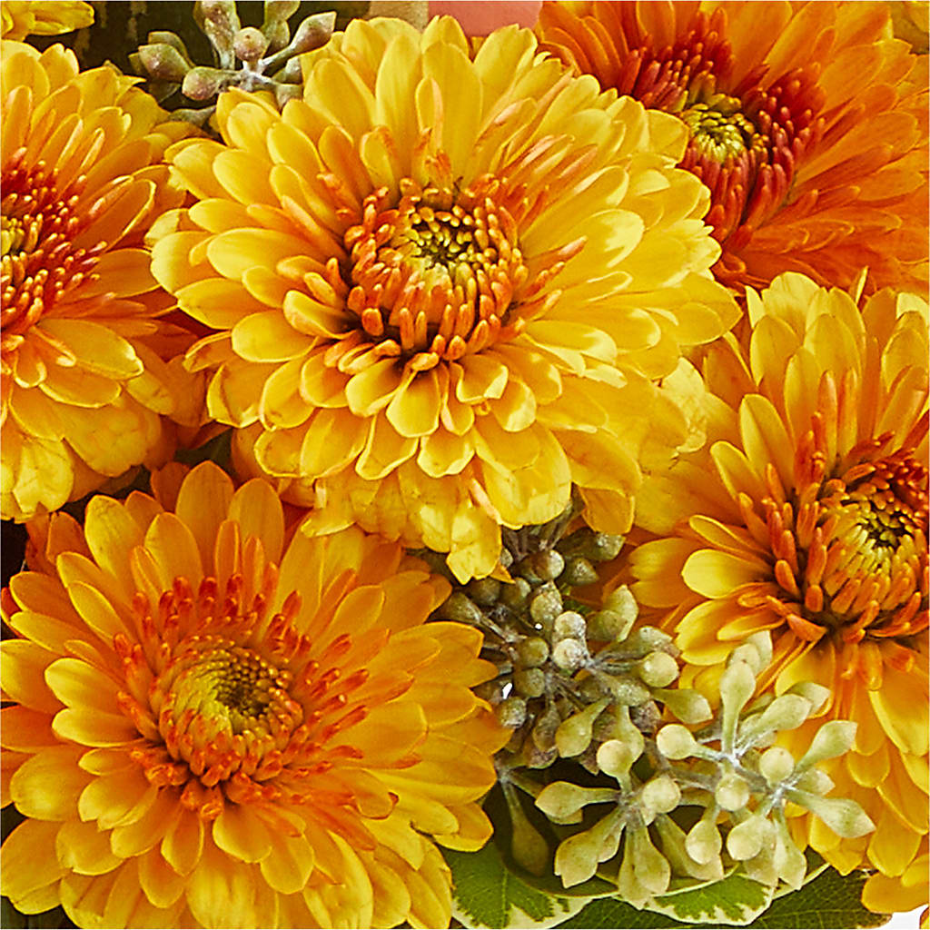 Peachy Pumpkin –  Flowers By Helen, Forsyth GA