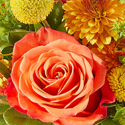 Gourdgeous Pumpkin –  Flowers By Helen, Forsyth GA