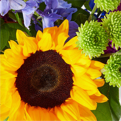 Catching Rays Bouquet –  Flowers By Helen, Forsyth GA