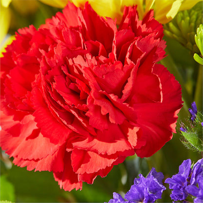 Brighter Days Bouquet –  Flowers By Helen, Forsyth GA