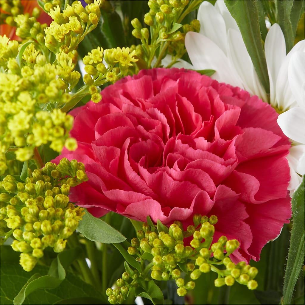 Oopsie Daisy Bouquet –  Flowers By Helen, Forsyth GA