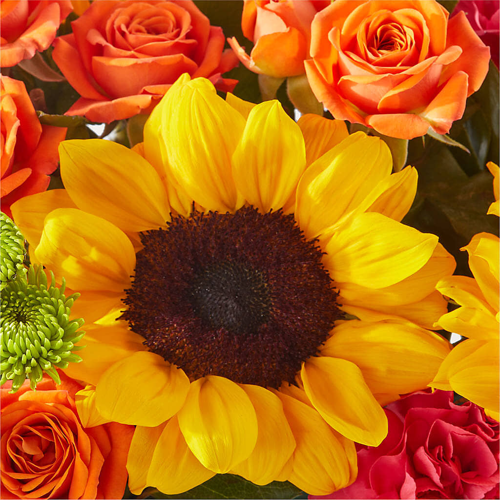 Sun-drenched Blooms Box Bouquet –  Flowers By Helen, Forsyth GA