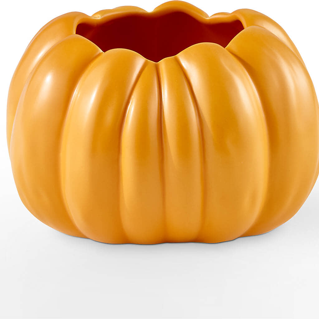 Pick of the Patch Pumpkin Bouquet –  Flowers By Helen, Forsyth GA