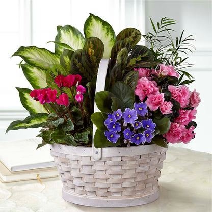 Peaceful Garden Planter –  Flowers By Helen, Forsyth GA