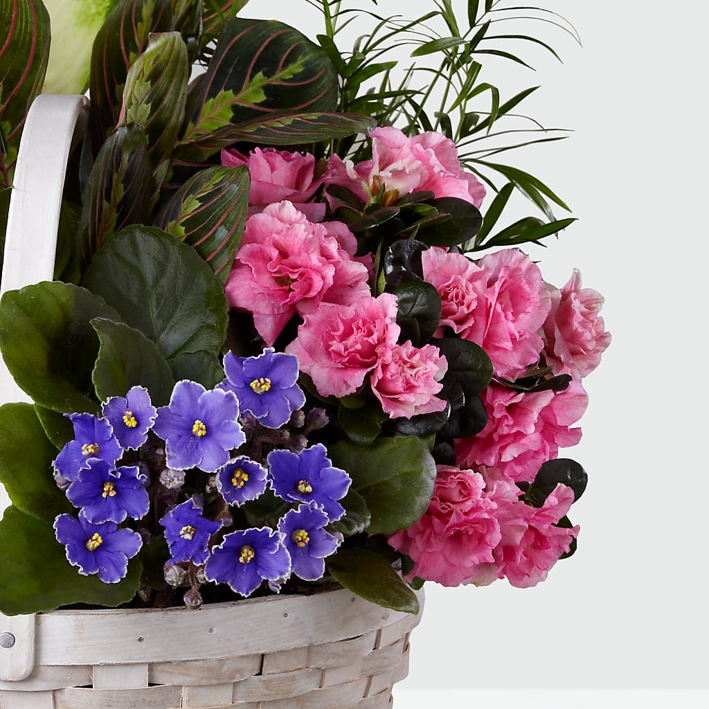 Peaceful Garden Planter –  Flowers By Helen, Forsyth GA