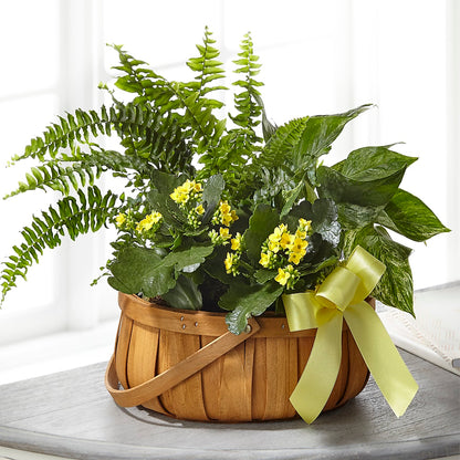 Always Dear Dishgarden –  Flowers By Helen, Forsyth GA