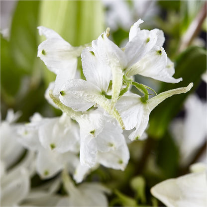 Classic Ivory – A Florist Original –  Flowers By Helen, Forsyth GA