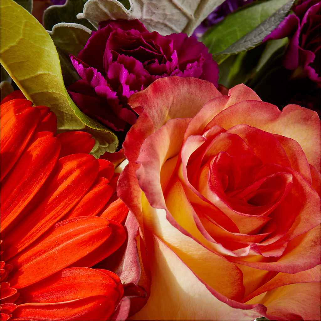 Sangria Bouquet –  Flowers By Helen, Forsyth GA