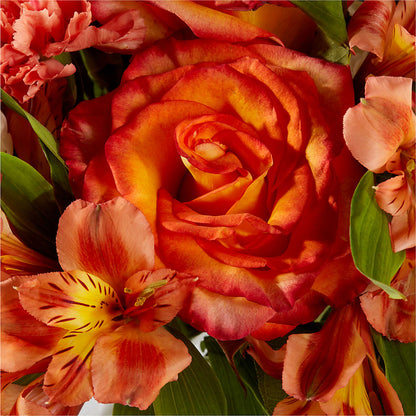 Apricot Glow Bouquet –  Flowers By Helen, Forsyth GA