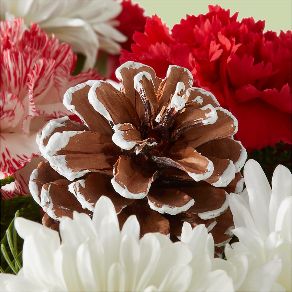Candy Cane Lane Bouquet –  Flowers By Helen, Forsyth GA