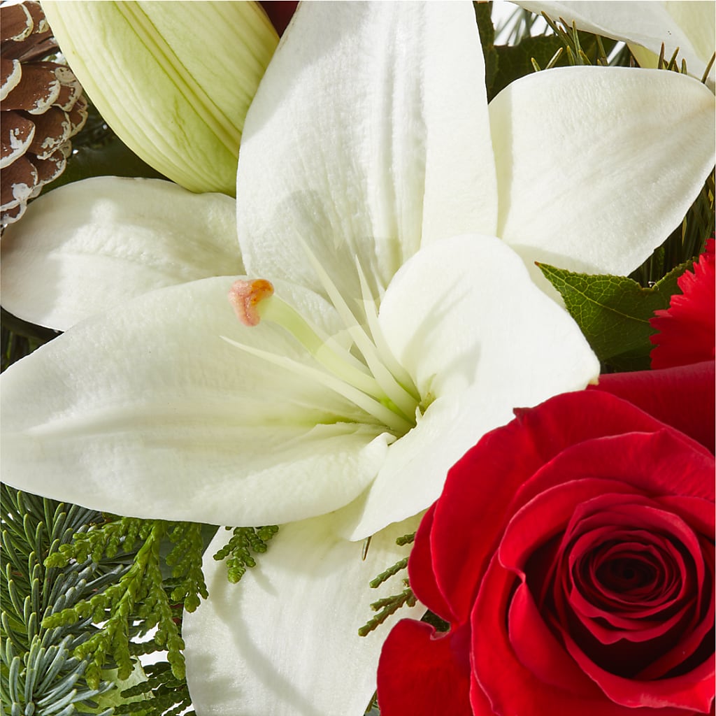 Oh So Jolly Bouquet –  Flowers By Helen, Forsyth GA
