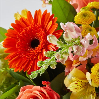 Autumn Sunshine Bouquet –  Flowers By Helen, Forsyth GA