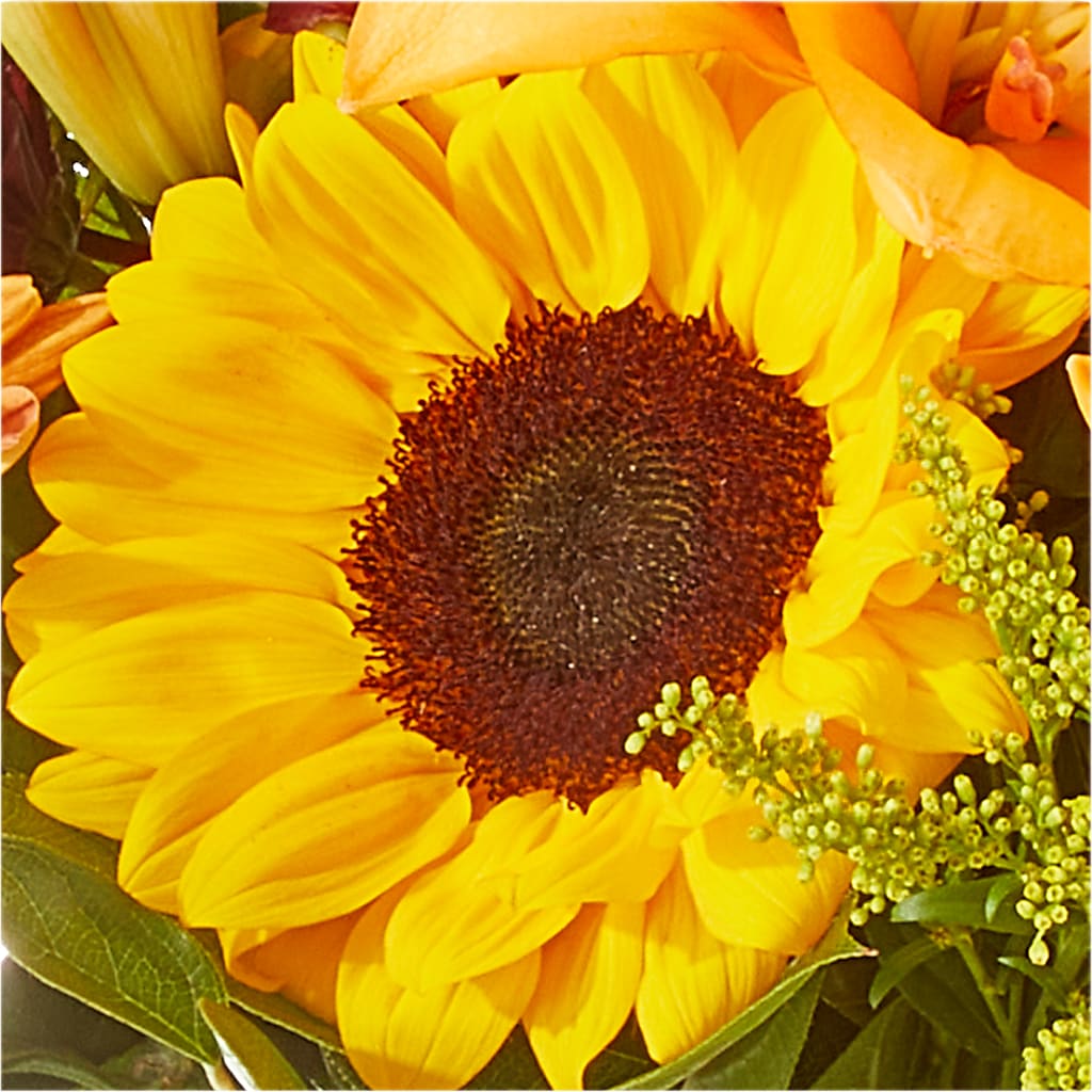 Seasons Change Bouquet –  Flowers By Helen, Forsyth GA