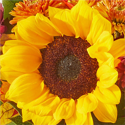 Sunny Side Bouquet –  Flowers By Helen, Forsyth GA