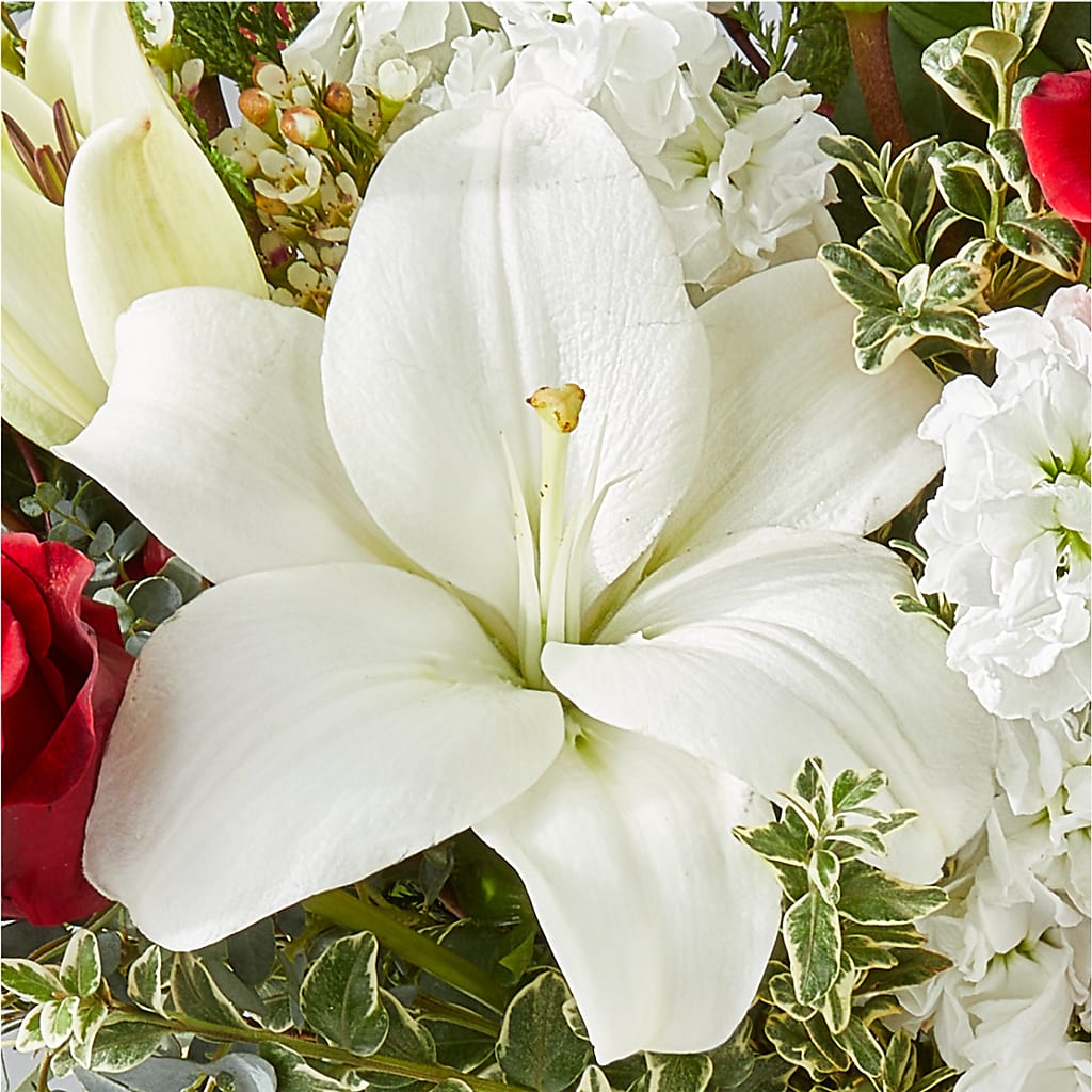 Twinkle Lights Bouquet –  Flowers By Helen, Forsyth GA