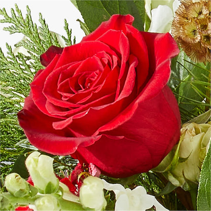 Deck the Halls Bouquet –  Flowers By Helen, Forsyth GA