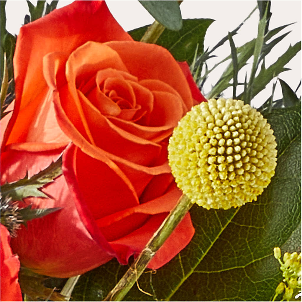 Disco Bouquet –  Flowers By Helen, Forsyth GA