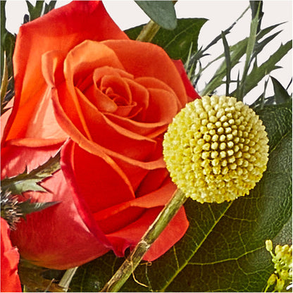 Disco Bouquet –  Flowers By Helen, Forsyth GA