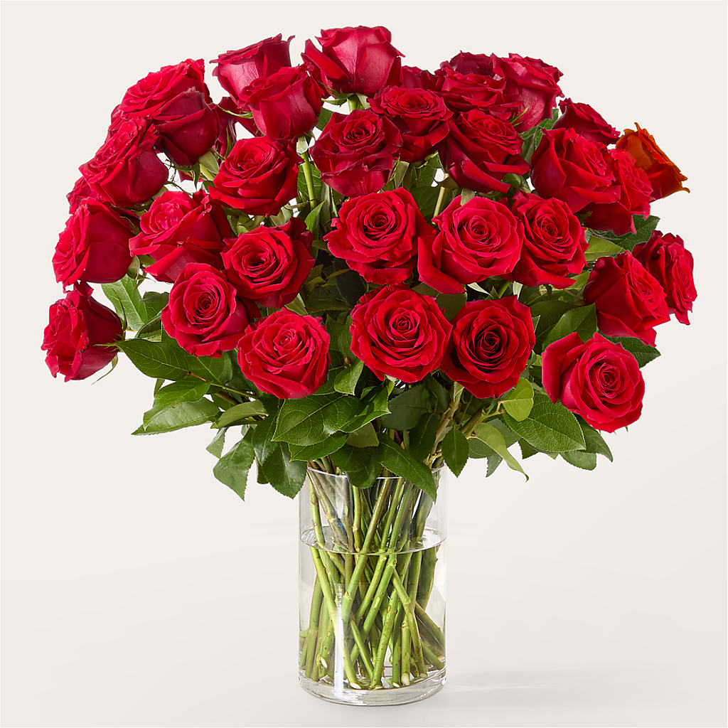 The One Red Rose Bouquet –  Flowers By Helen, Forsyth GA