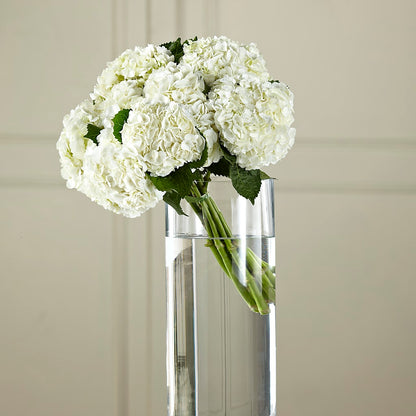White Hydrangea Hand-Tied Bouquet –  Flowers By Helen, Forsyth GA