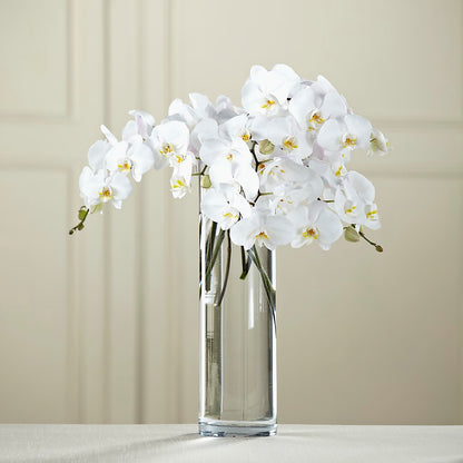 White Phalaenopsis Bouquet –  Flowers By Helen, Forsyth GA